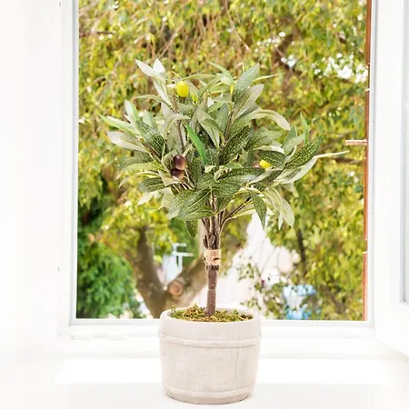 Shining Star Апартаменты Дубровник